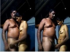 Tamil couple has standing sex in a steamy video