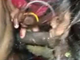 Sexy wife from India gives a sensual blowjob