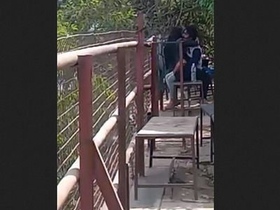 Indian couples enjoy outdoor sex in the park