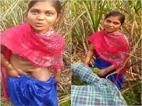 Desi couple's outdoor sex caught on camera