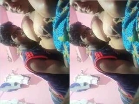 Two desi couples indulge in passionate romance and tit play