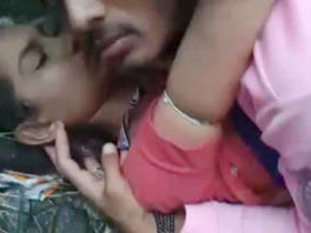 Desi couple has sex in the wild in new video