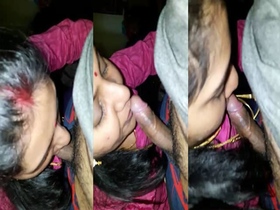 A Tamil woman gives oral sex to her brother-in-law's large penis