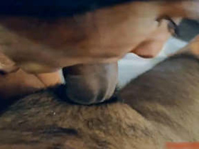 South Indian bhabhi performs oral sex in video