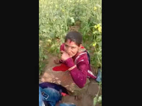 Elderly woman discovered engaging in sexual activity in a mustard field