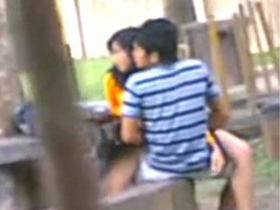 Desi students caught on camera having sex in Voyur Park
