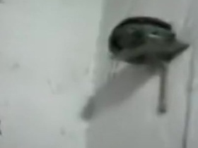 Chachi's secret burqa sex scandal revealed.