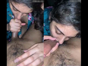 Newly added collection features a stunning Indian Desi girl getting pounded hard and deep