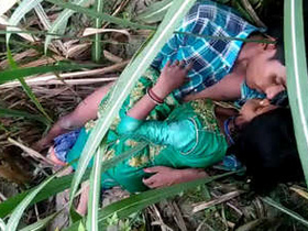 Desi couple enjoys outdoor sex in the village