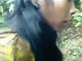 Indian couple gets caught in the act of outdoor sex
